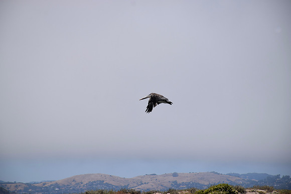 DSC_0045