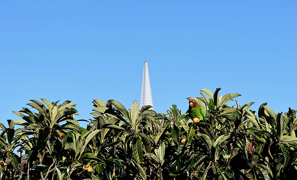 DSC_0013