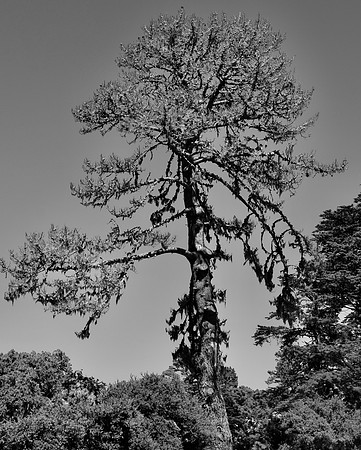 DSC_0044