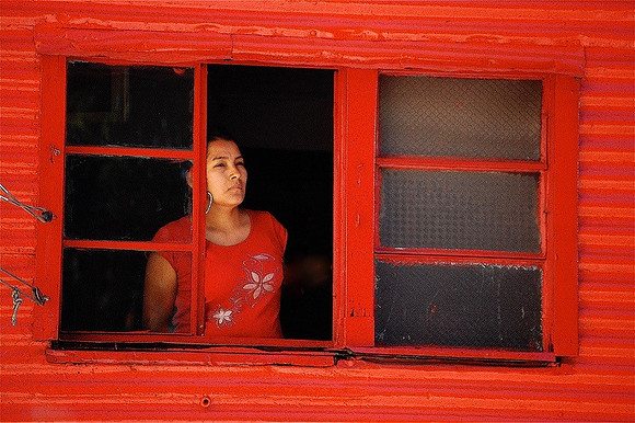 DSC_0329