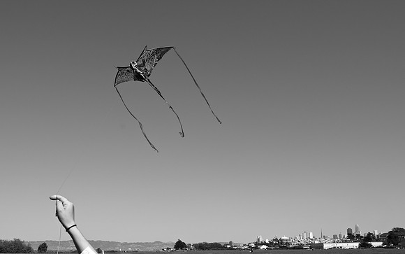 DSC_0231