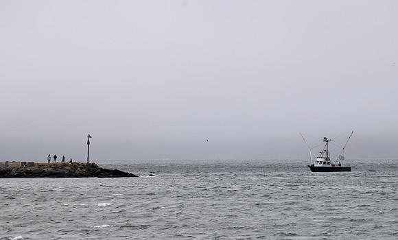 DSC_0007