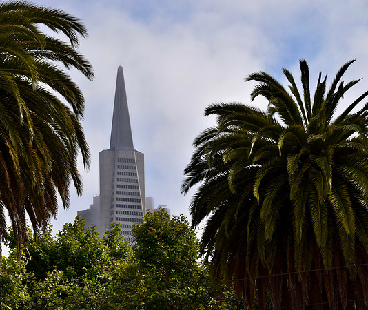 DSC_0017