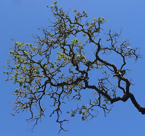 DSC_0116