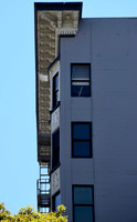 DSC_0010