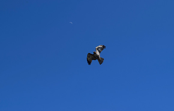 DSC_0049