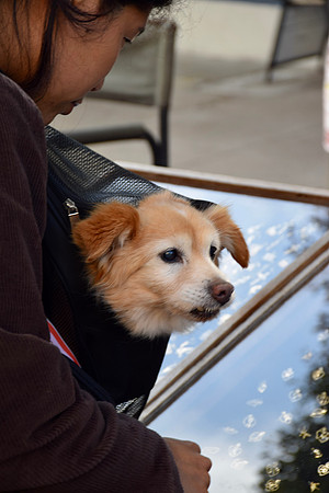 DSC_0127