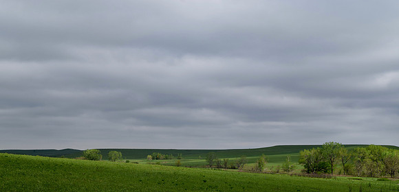 DSC_0041