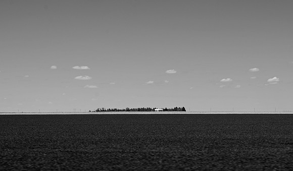DSC_0226