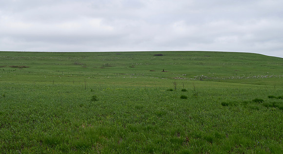 DSC_0047