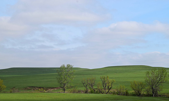 DSC_0060