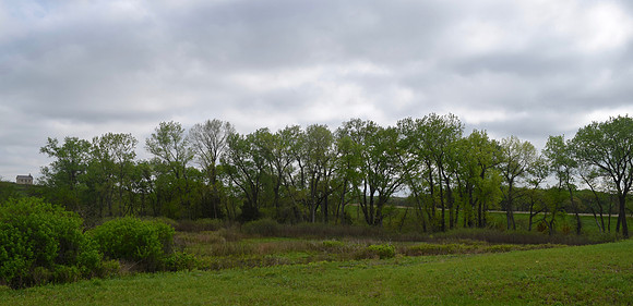 DSC_0048