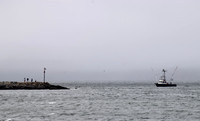 DSC_0007
