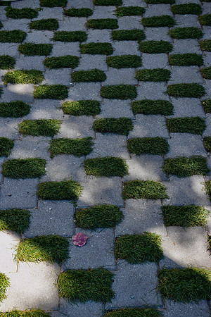 DSC_0088