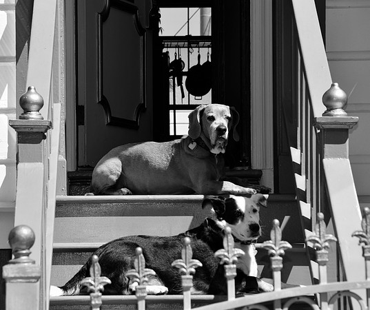 DSC_0062
