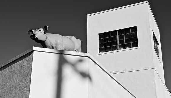 DSC_0348