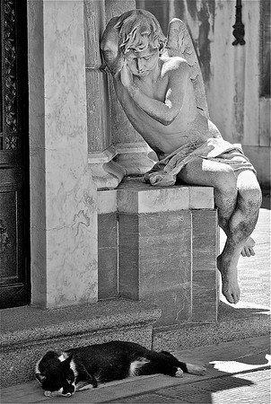 DSC_0368