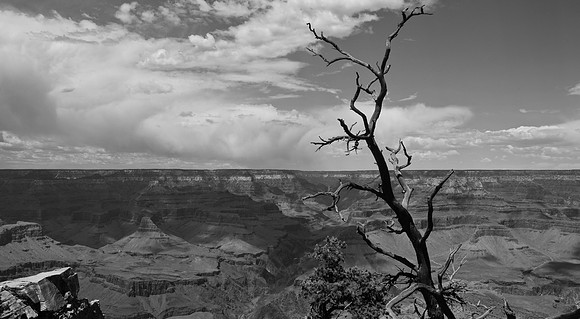 DSC_0061