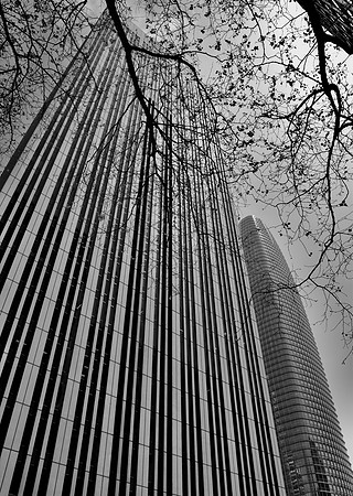 DSC_0092