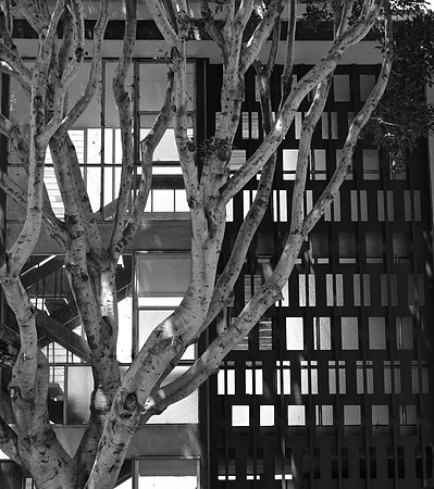DSC_0054