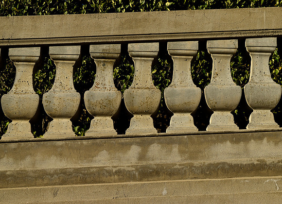 DSC_0102
