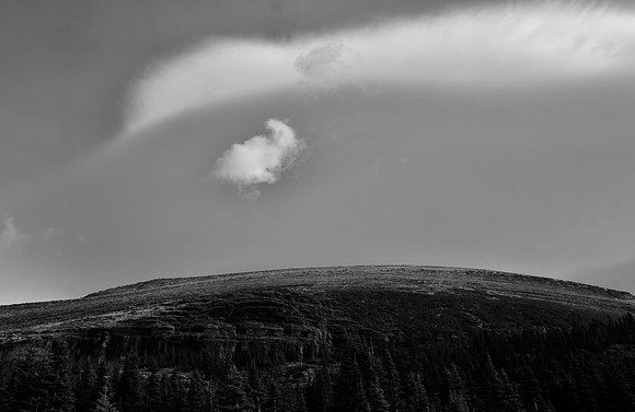 DSC_0085