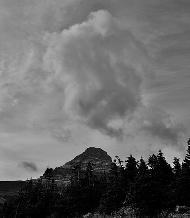 DSC_0049