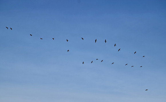 DSC_0061