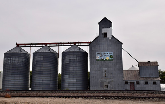 DSC_0242