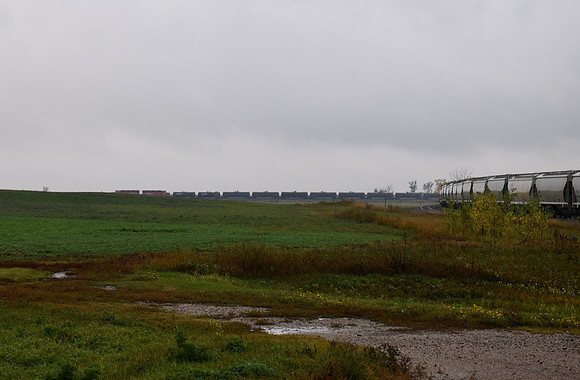 DSC_0367