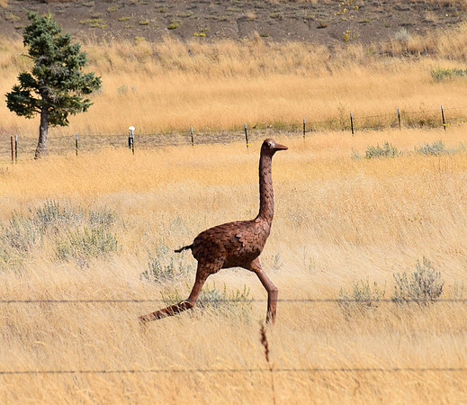 DSC_0344