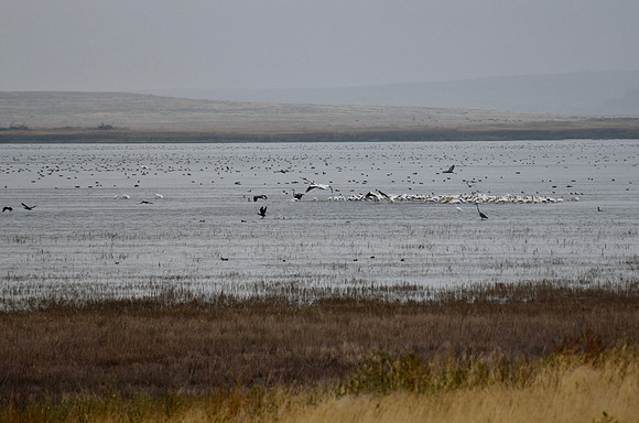 DSC_0329