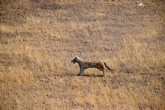 DSC_0341