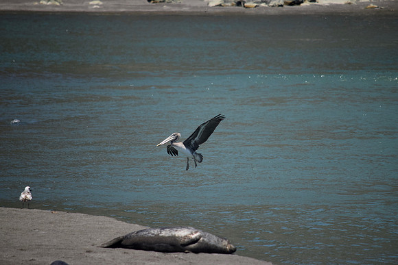 DSC_0152 (1)