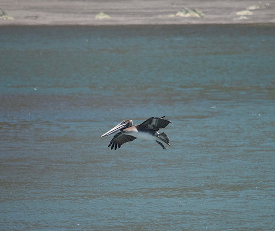 DSC_0191
