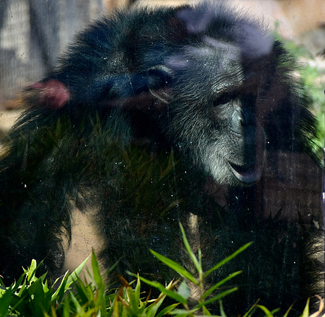 DSC_0131
