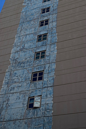 DSC_0009 (2)