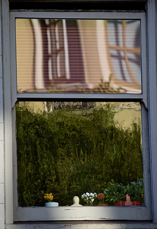 DSC_0046 (1)