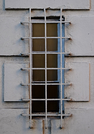 DSC_0100 (2)