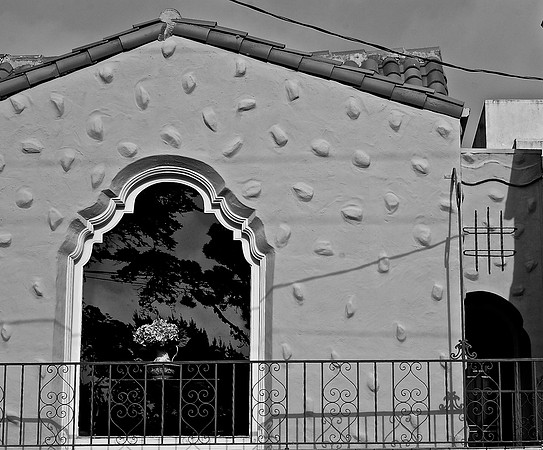 DSC_0047 (1)