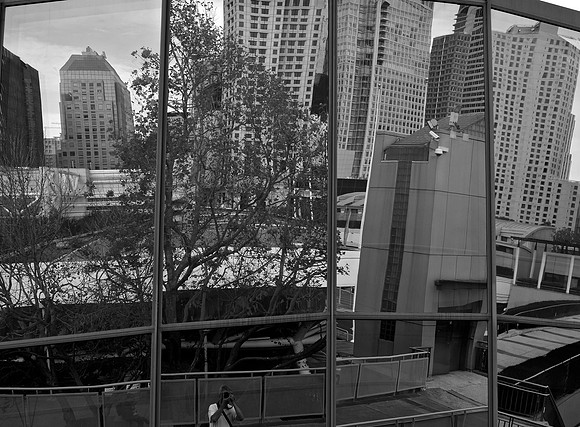 DSC_0041