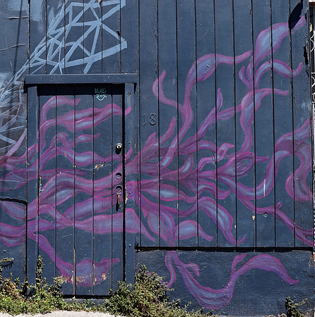 DSC_0044