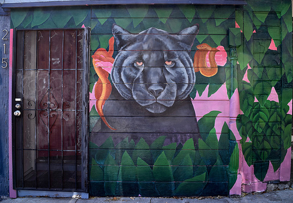 DSC_0062