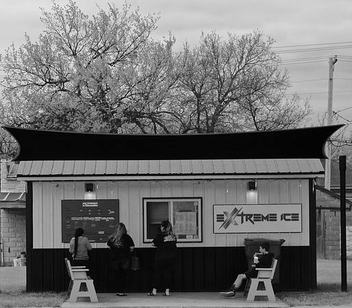 DSC_0135