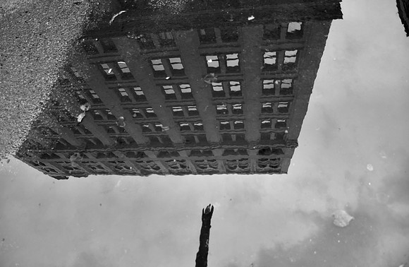 DSC_0436