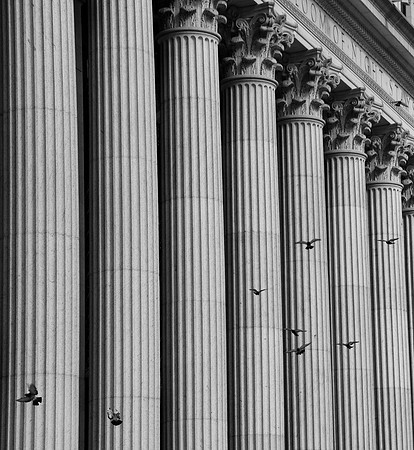 DSC_0087