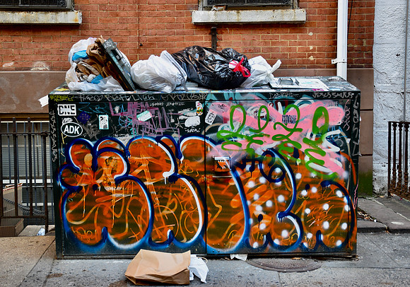 DSC_0371