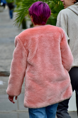 DSC_0106