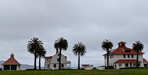 DSC_0081