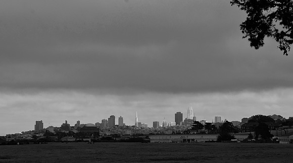 DSC_0101